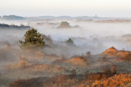 Zonsopkomst tijdens koude ochtend met laagjes mist tussen de duinhellingen in Nationaal Park Zuid-Kennemerland bij Overveen.