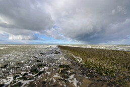 Dreigende wolken van naderende storm boven de noordzee en strekdam van de Hondsboscche Zeewering bij Petten