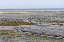 Uitzicht vanaf de dijk over slingerende geul langs drooggevallen slikplaten en oesterbanken tijdens laagwater bij De Cocksdorp op het waddeneiland Texel. 